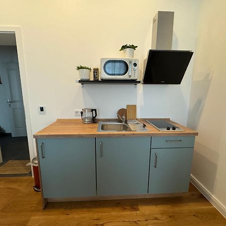 Boutique Hotel Pension Luisengruen Kueche 1Gbs Wlan Netflix Disney Magentatv Chemnitz Exterior foto