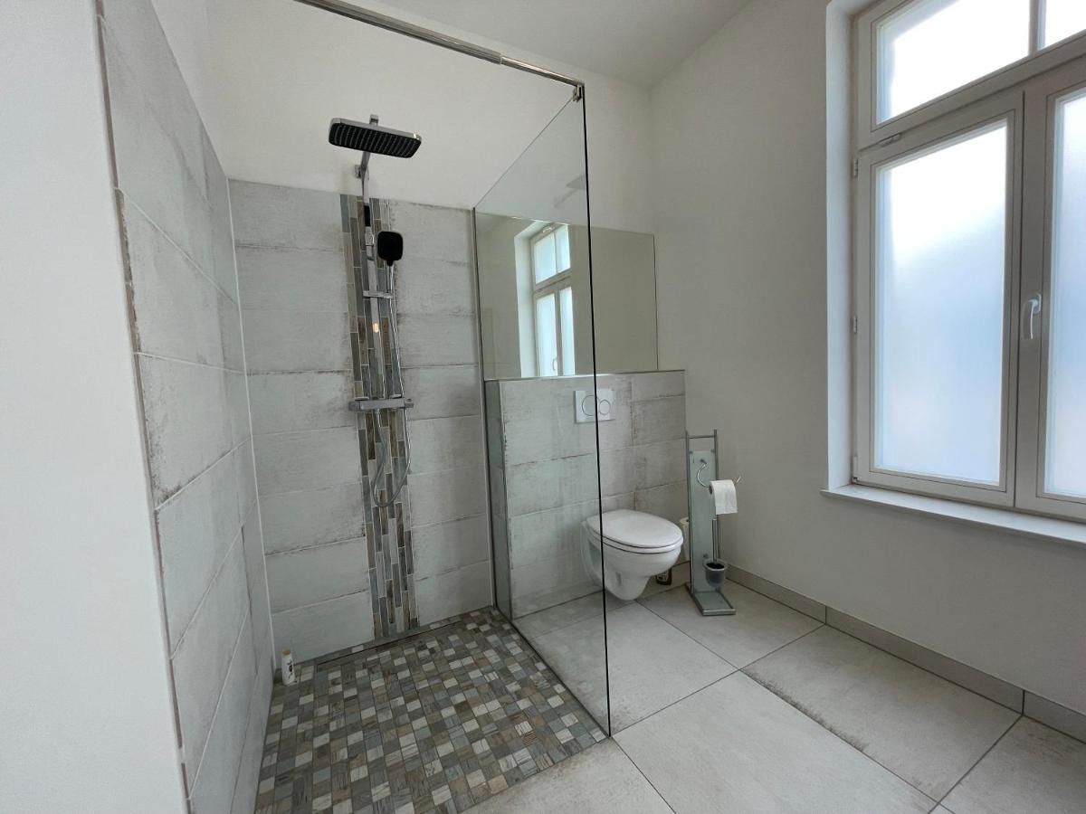 Boutique Hotel Pension Luisengruen Kueche 1Gbs Wlan Netflix Disney Magentatv Chemnitz Exterior foto