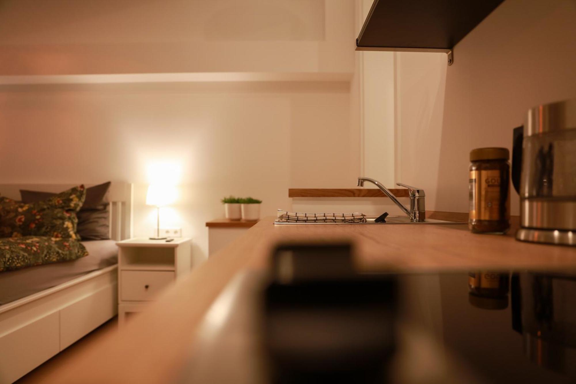 Boutique Hotel Pension Luisengruen Kueche 1Gbs Wlan Netflix Disney Magentatv Chemnitz Exterior foto
