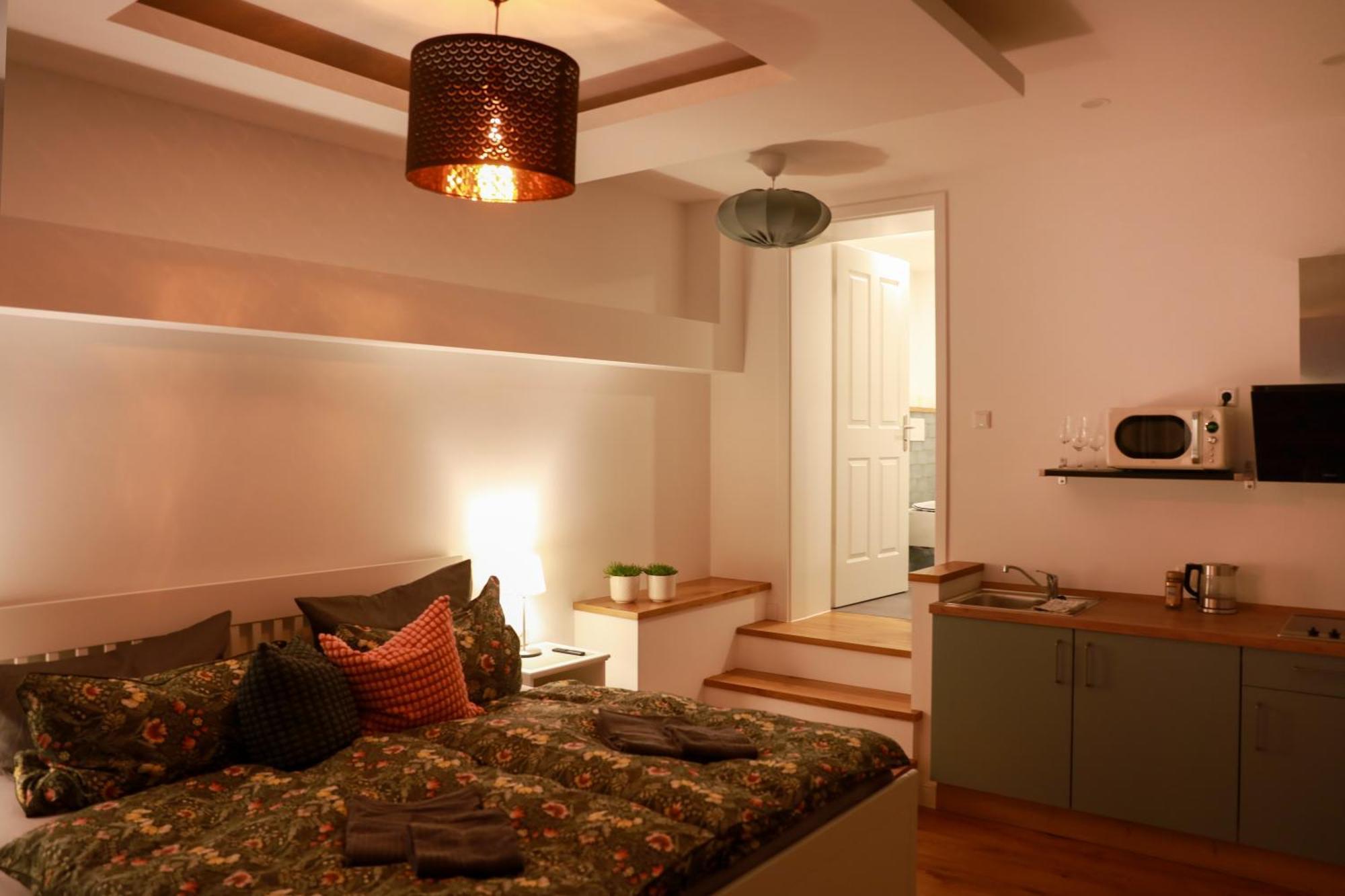 Boutique Hotel Pension Luisengruen Kueche 1Gbs Wlan Netflix Disney Magentatv Chemnitz Exterior foto