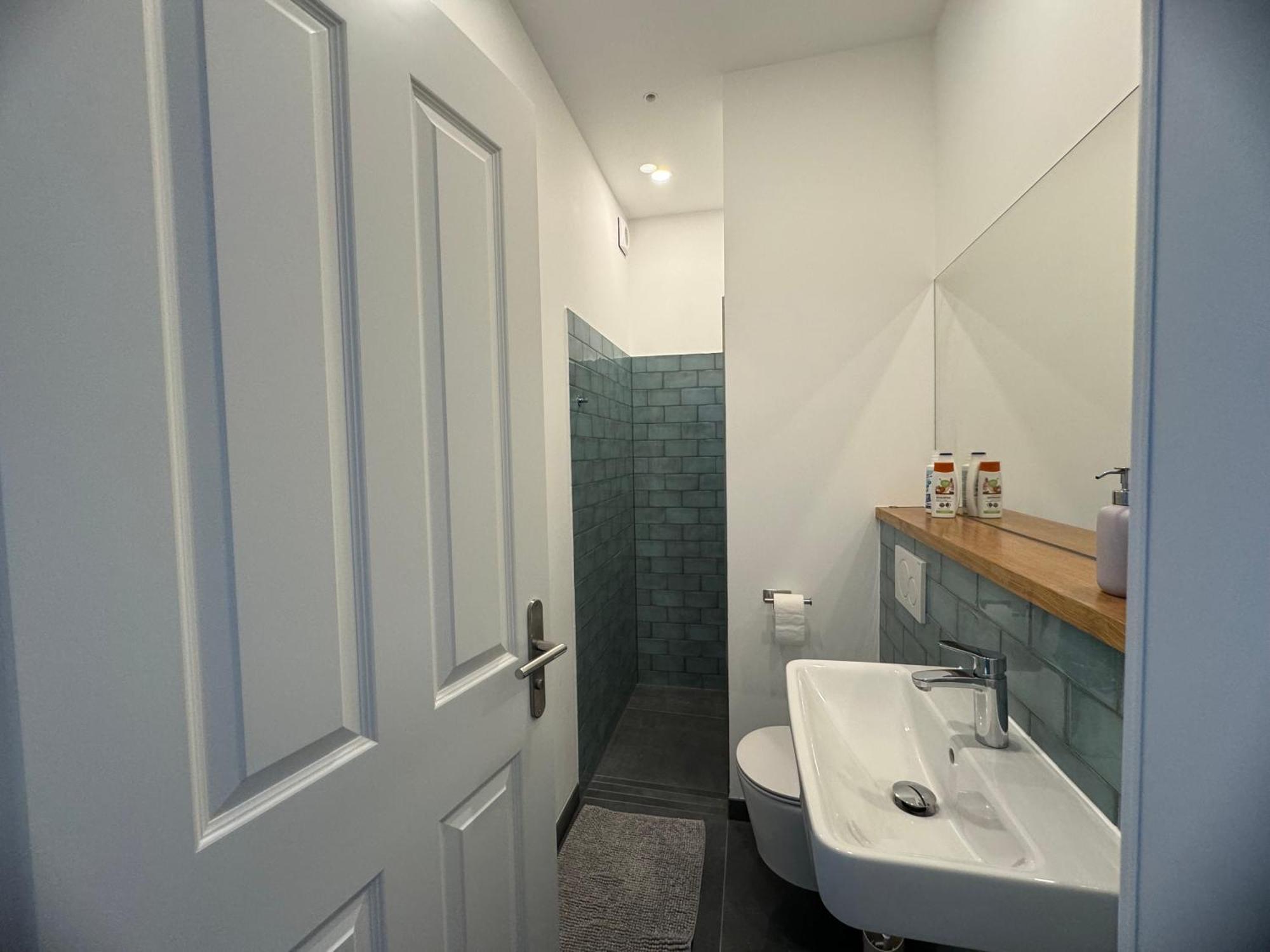 Boutique Hotel Pension Luisengruen Kueche 1Gbs Wlan Netflix Disney Magentatv Chemnitz Exterior foto