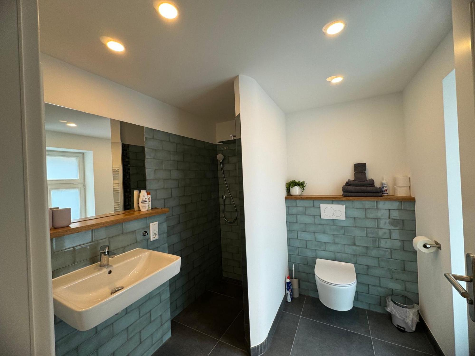 Boutique Hotel Pension Luisengruen Kueche 1Gbs Wlan Netflix Disney Magentatv Chemnitz Exterior foto